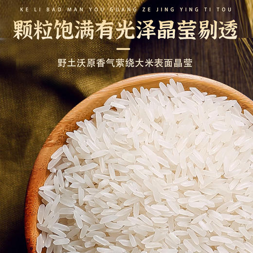 南稻皇农家丝苗米  2.5kg 商品图3