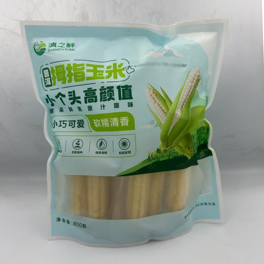 云南高原拇指小玉米/800g 商品图5