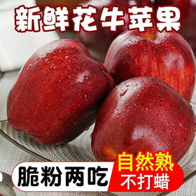 【严选】【金新农】【一果两吃】甘肃花牛苹果 初尝脆甜 久放粉糯花牛苹果天水正宗应季水果辅食蛇果小果带箱4.5斤-5斤  （厂家直发）