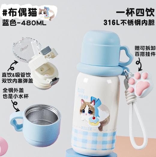 迪乐贝尔316保温杯D9401-480 商品图0