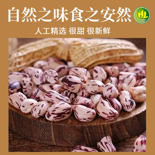 南稻皇七彩花生  250g 商品图2