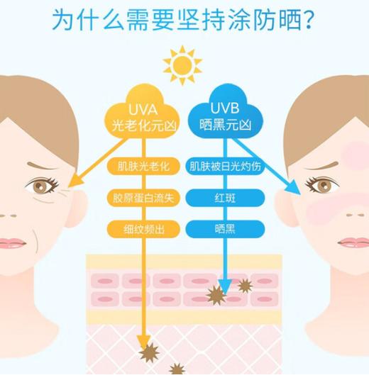 【航免仓】安耐晒（安热沙）新一代小金瓶防晒乳60ML【皮卡丘联名款】 商品图3