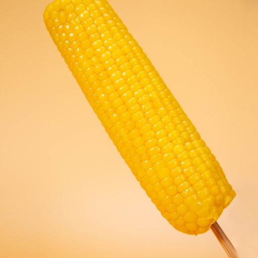 有机黑土地黄糯玉米(8穗)/1.6kg 商品图3