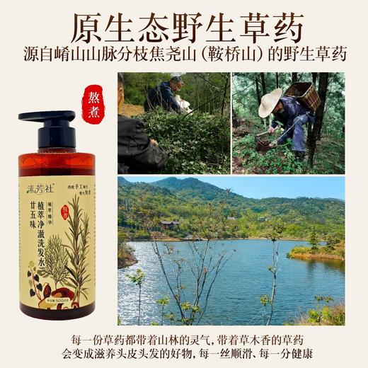 廿五味植萃洗发水|古法现熬净澈养发精选25味野生草本，侧柏叶、迷迭香、何首鸟等依循古方匠心文火慢熬，300目精细过滤浓缩，终得浓醇本草原汤软 商品图3