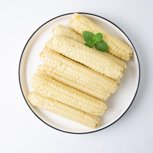 云南高原拇指小玉米/800g 商品图1