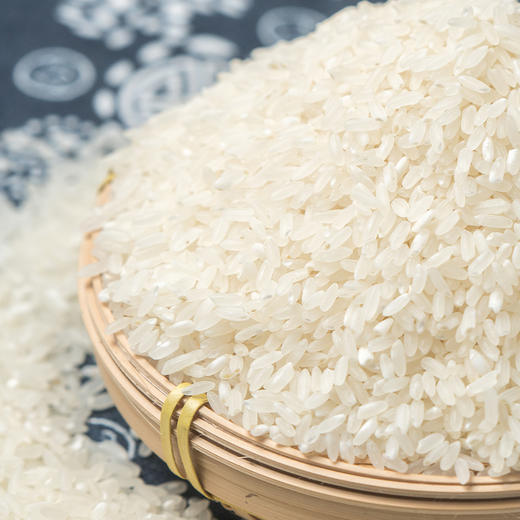 南稻皇美香占2号丝苗米  5kg 商品图4