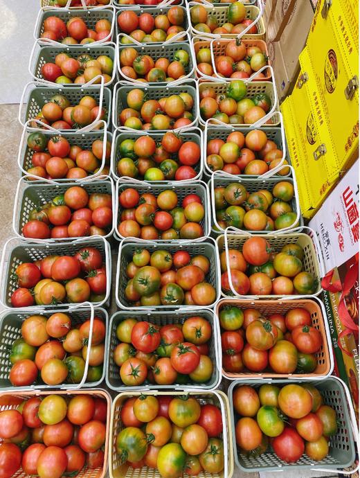 采摘园草莓柿子一筐 商品图2