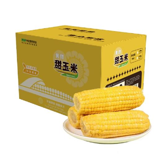 MAP·西北高原黄甜玉米/220g*8 商品图2