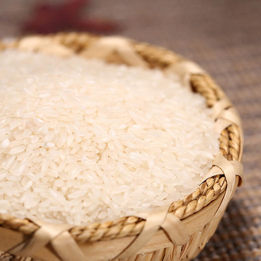 南稻皇美香占2号丝苗米  5kg 商品图3