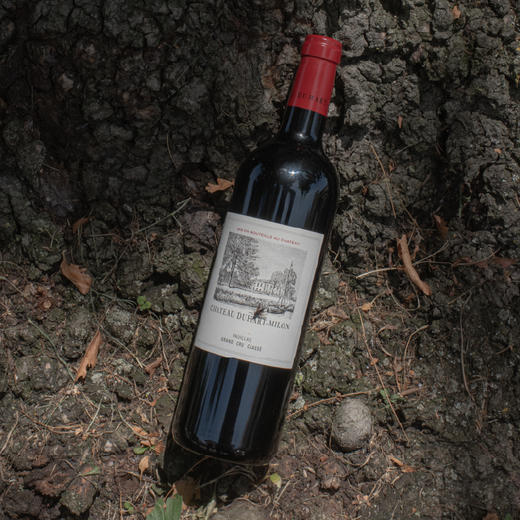 (测试勿拍)拉菲杜哈米隆2022年份 商品图2