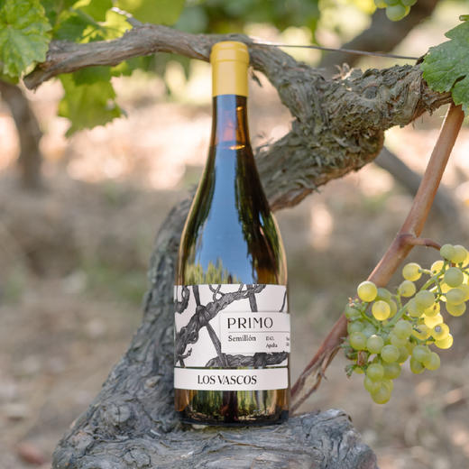 (测试勿拍)拉菲罗斯柴尔德巴斯克葡瑞赛美蓉2024年份 商品图2