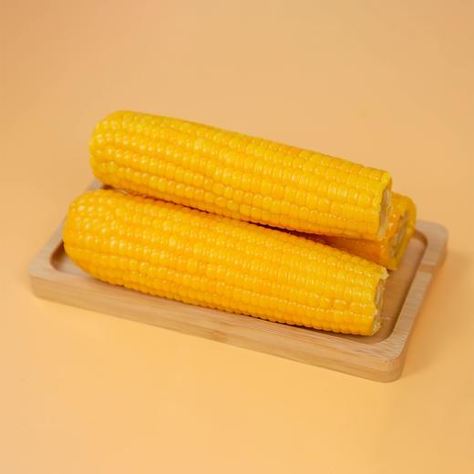 有机黑土地黄糯玉米(8穗)/1.6kg 商品图4