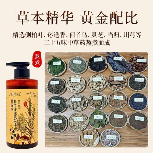 廿五味植萃洗发水|古法现熬净澈养发精选25味野生草本，侧柏叶、迷迭香、何首鸟等依循古方匠心文火慢熬，300目精细过滤浓缩，终得浓醇本草原汤软 商品图2