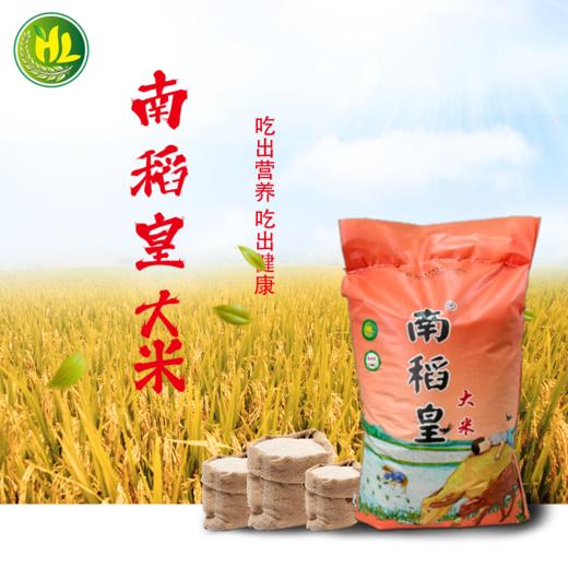 南稻皇大米  25kg 商品图3