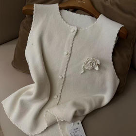 【预售7天】良木礼山羊绒背心（D25101758）