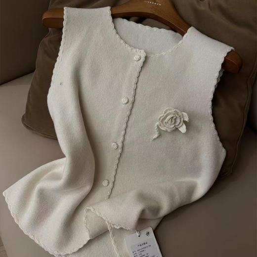 【预售7天】良木礼山羊绒背心（D25101758） 商品图0