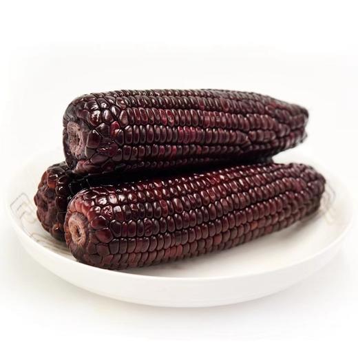 MAP·西北高原黑甜糯玉米/200g*8 商品图4