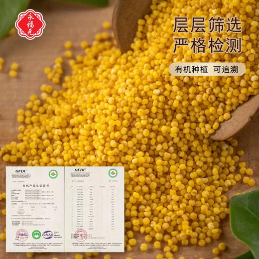 永福元有机黄小米400g/罐 商品图3