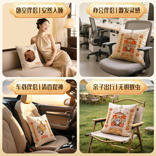 陈皮村新会青皮天然香包解压伴眠车载除味驱蚊宋雅辰香吉言清心 商品图2