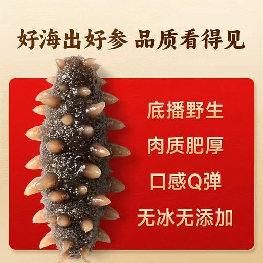 凤安堂 即食海参 500g 好海好参 商品图3
