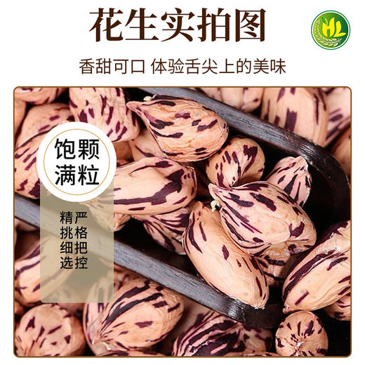 南稻皇七彩花生  250g 商品图4