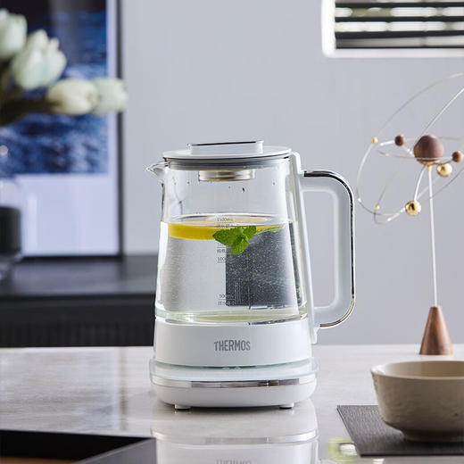 【分仓直发包邮 预售12月低发货】膳魔师（THERMOS）钛养生壶EHA-1616E 商品图0