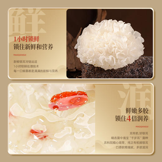 猫千岁0糖鲜炖银耳羹即食免煮无糖有机银耳鲜露 商品图4