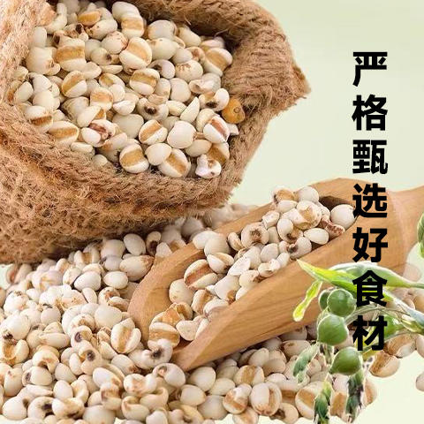 薏仁面1kg/把（买二送一）【GY】 商品图1