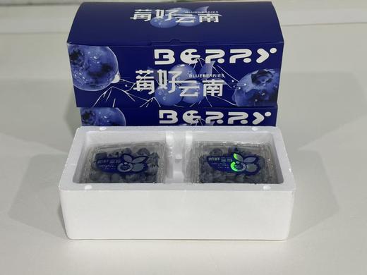 云南L25花香蓝莓 商品图6