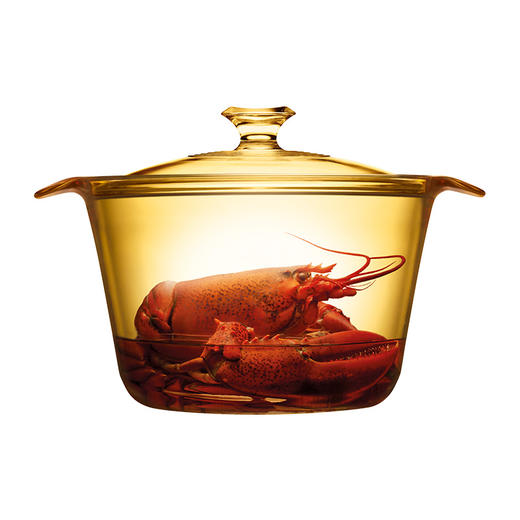 康宁（VISIONS）晶彩系列时尚养生锅3.8LVS-38-FL/E/LN/ZK 商品图0