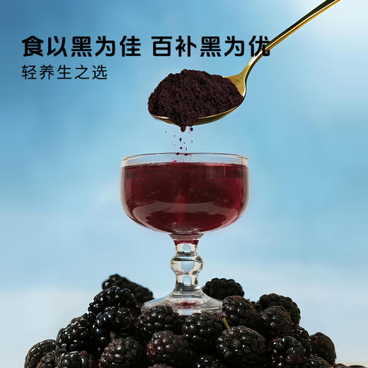 愿臻桑葚冻干粉  50g/罐 商品图2