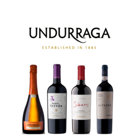 【2025.11.14 陕康门票 SKL Ticket】云度拉Undurraga庄主见面会-智利名庄