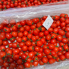 红千禧小番茄 商品缩略图1