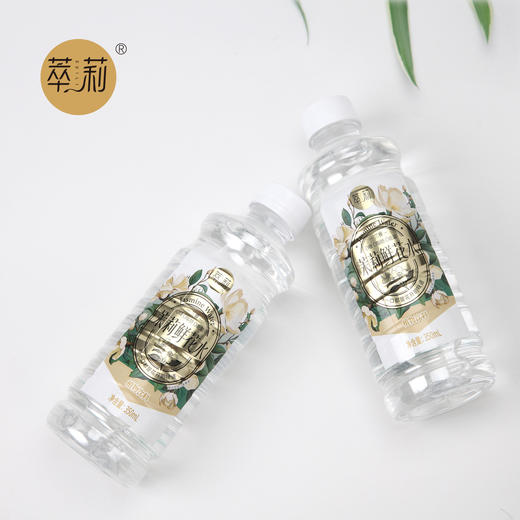 萃莉茉莉花水广西横县茉莉鲜花水0糖0添加 商品图6