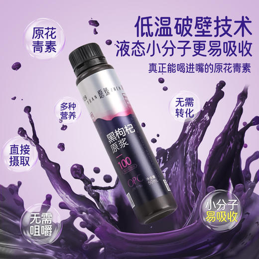 愿臻NFC黑枸杞原浆 50ml*10支*1盒 商品图3