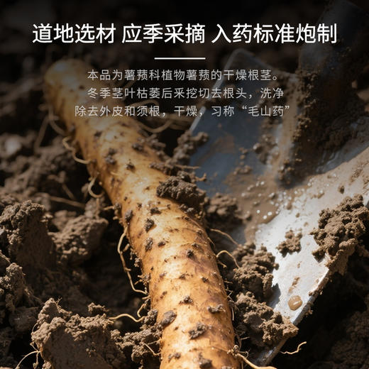 康美山药10g*20袋/盒 河南焦作山药中药饮片独立小包装 商品图1