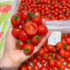 红千禧小番茄 商品缩略图2