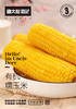 奥玉88(有机黄糯米)(250g*10支/盒)【GY】 商品缩略图1