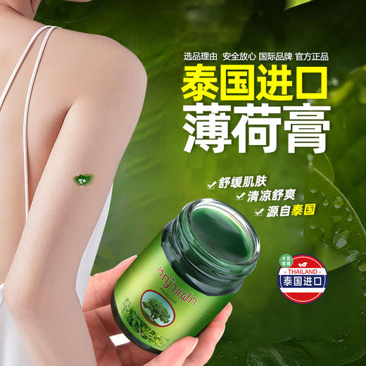 卡瓦库德 薄荷膏 15g*3 商品图5