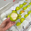 新疆库尔勒香梨 太阳果 梨果 商品缩略图2