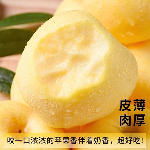 【严选】【金新农】【正鲜山东水果】山东皮薄肉厚鲜嫩香甜奶油富士苹果4.5斤 / 8.5斤   （厂家直发） 商品图2