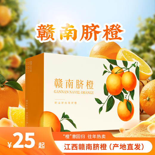 江西·赣南脐橙- 产地直发家庭装/礼盒装【水果】HEM 商品图0