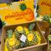 芒果凤梨 海南核心产区 菠萝 香甜多汁 商品缩略图12