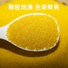【严选】【金新农】【当季新米 米油厚实】山东沂蒙山黄小米颗粒饱满山地小米5斤装  （厂家直发） 商品缩略图3