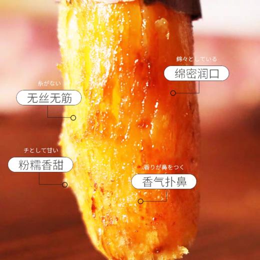 【榴莲蜜薯】蜜薯中的“猫山王” 犹如榴莲肉般软糯丝滑 薯香四溢 烤熟后果肉金黄灿灿 4种规格任选 商品图2