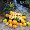橙诱佳人（赣南脐橙）10【MJ】【包邮到家】 商品缩略图0