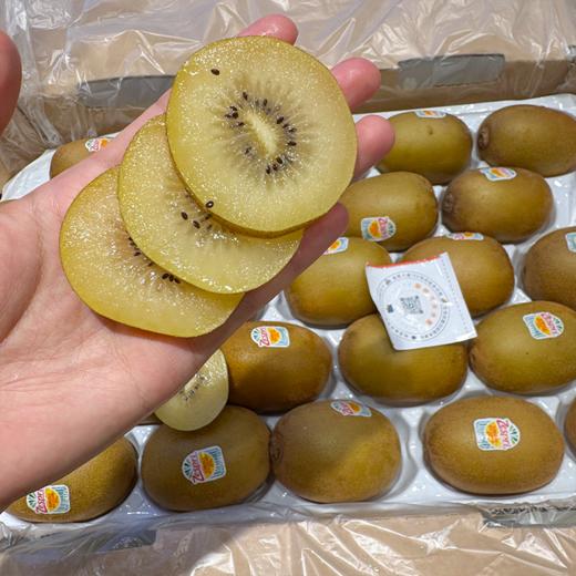 新西兰佳沛金果 精品果 黄心猕猴桃 商品图5