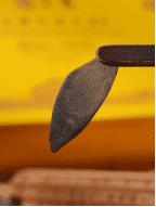 橘优然化橘红陈藏老树胎果皮/胎果片100克 商品图3