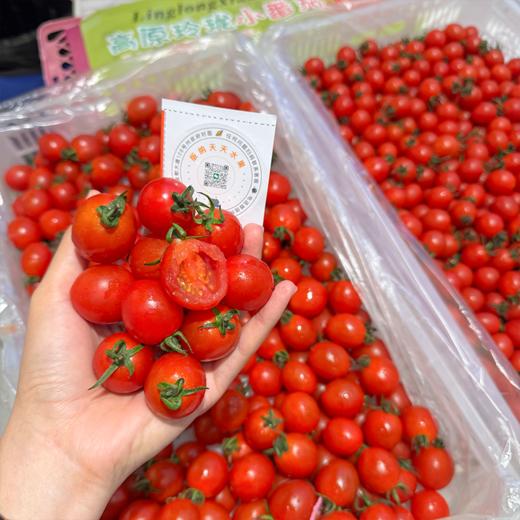 红千禧小番茄 商品图0