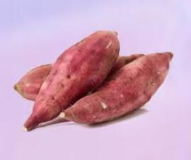 【长春自提】丨25年双11购物节·地瓜5斤/49元丨下单后门店自提 商品图0